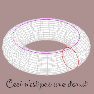 a diagram of a torus with a caption in French saying This is not a donut.